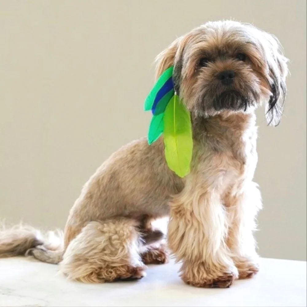 Blue Green Feathers Fur Hair Accessories Clips Dog Cat Justice Pet